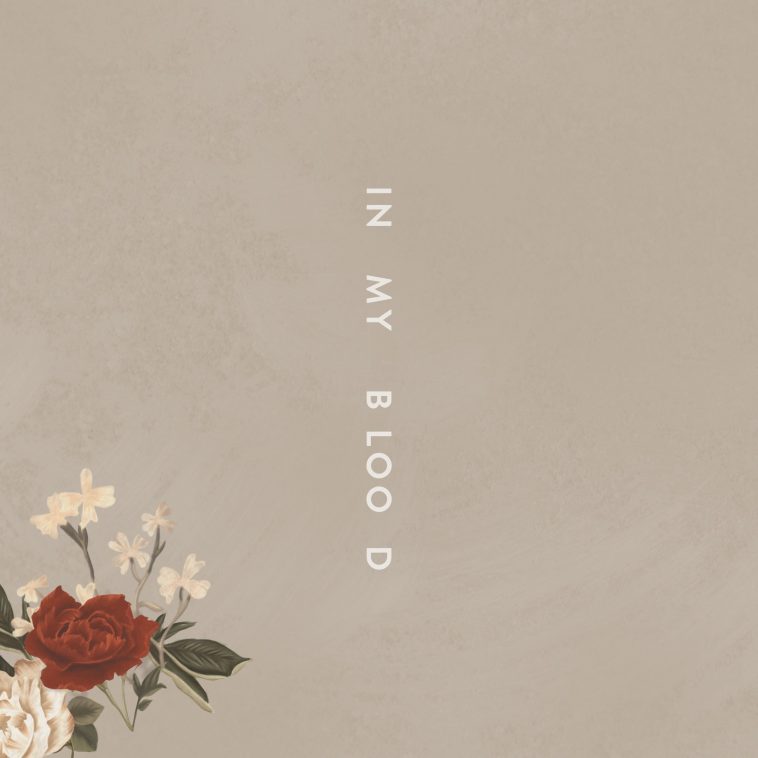 Image result for shawn mendes in my blood single cover