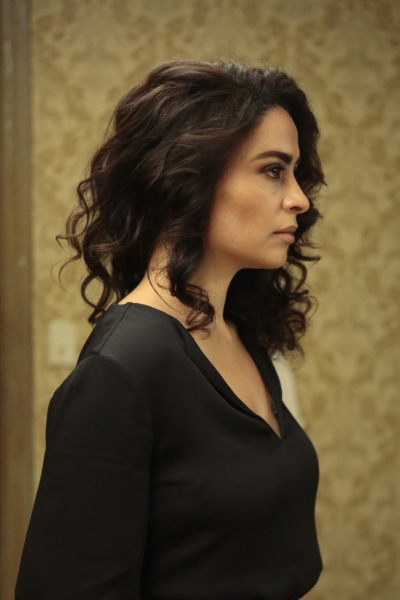 QUANTICO - "CLEOPATRA" - The recruits are schooled in the art of seduction, which Alex sees as a perfect opportunity to get closer to Owen, but will it threatens her relationship with Ryan? And in the future, Alex finally gets the answers she's been looking for about who and what the terrorists are on, "Quantico," MONDAY, JANUARY 23 (10:01-11:00 p.m. EST), on the ABC Television Network. (ABC/Giovanni Rufino) YASMINE AL MASSRI