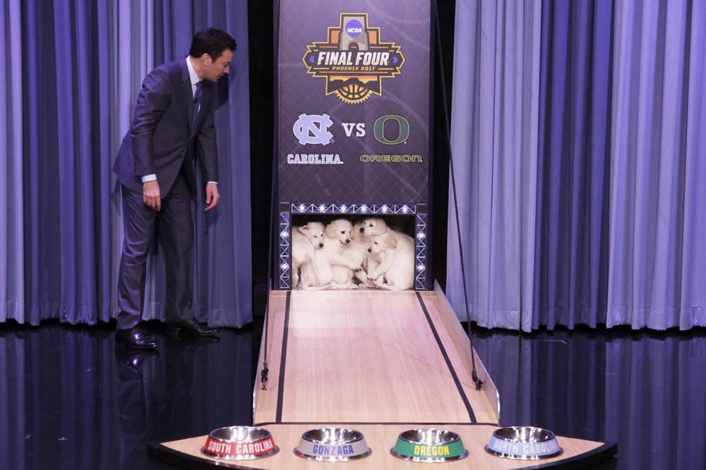 THE TONIGHT SHOW STARRING JIMMY FALLON -- Episode 0649 -- Pictured: Host Jimmy Fallon during "Puppy Predictors: Final Four" on March 29, 2017 -- (Photo by: Andrew Lipovsky/NBC)