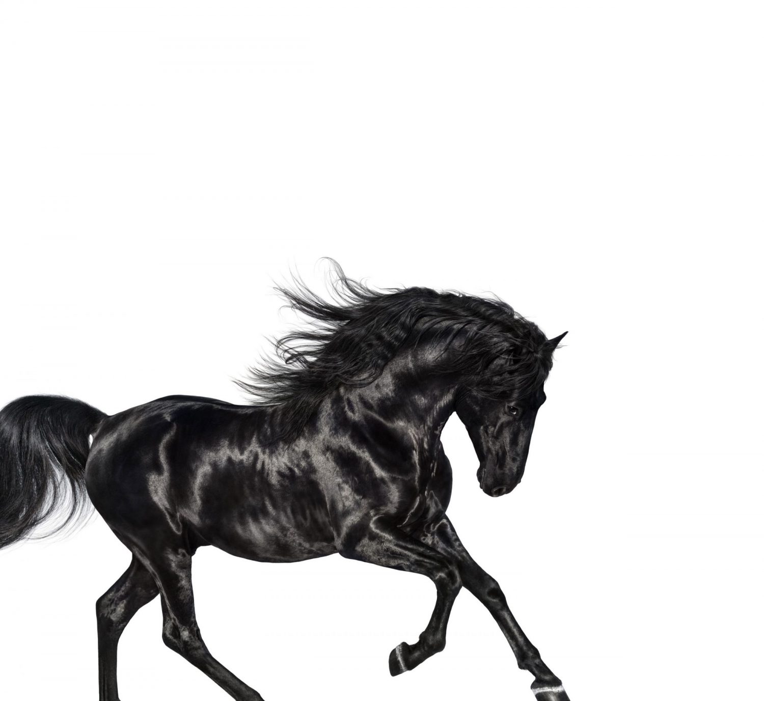 old town road lil nas x free mp3 download