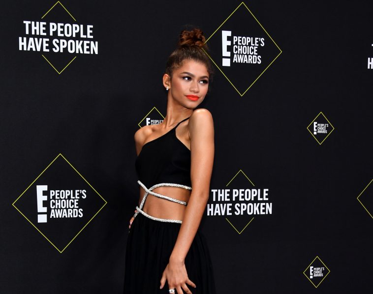 Zendaya Slays Red Carpet At 2019 Peoples Choice Awards
